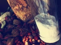 Valge tahm kasutatakse rehvi